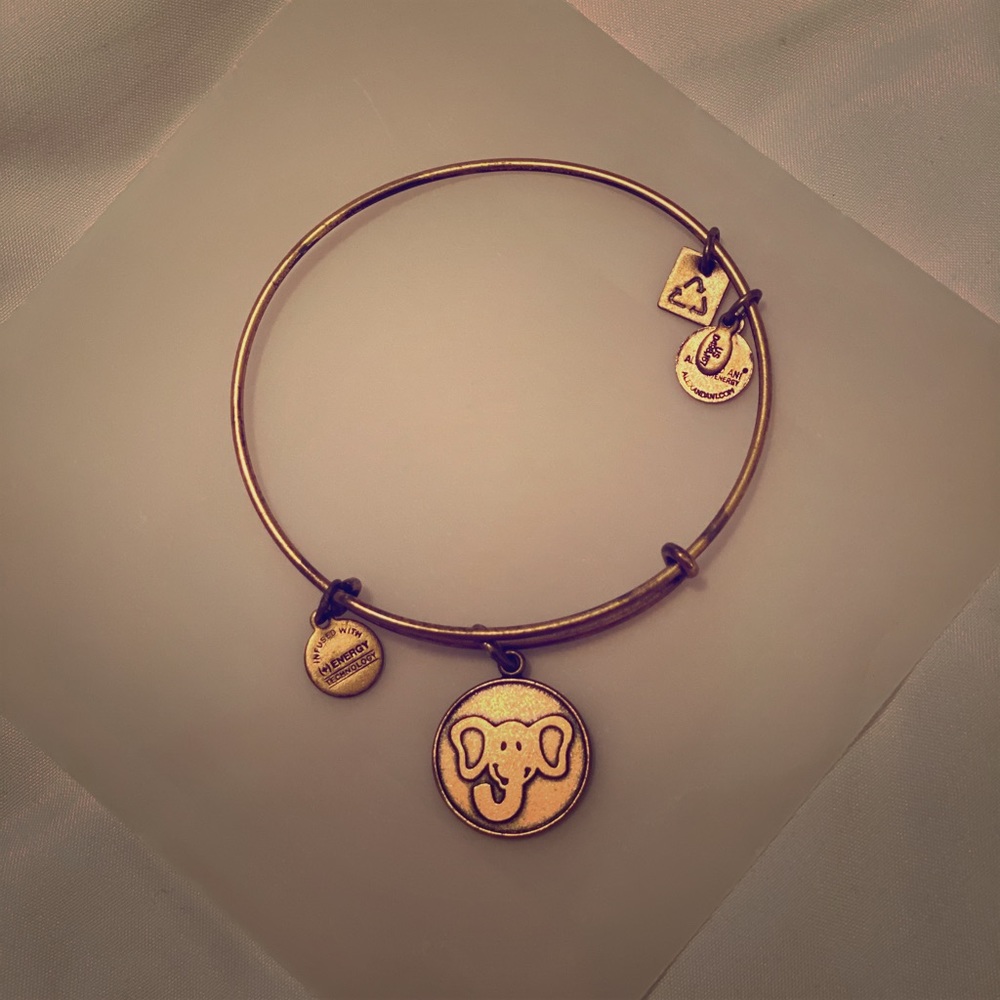 Alex and Ani Elephant bracelet